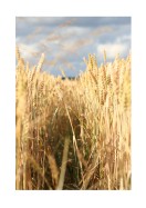 Wheat Field | Stwórz własny plakat
