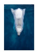 Swimming Polar Bear | Stwórz własny plakat