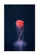 Vibrant Jellyfish In The Ocean | Stwórz własny plakat