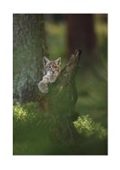 Wild Lynx In Nature | Stwórz własny plakat