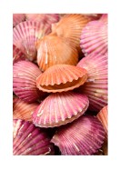 Pink Sea Shells | Stwórz własny plakat