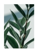 Green Plant Close-up | Stwórz własny plakat
