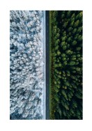 A Forest In Summer And Winter | Stwórz własny plakat