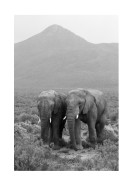 Two Elephants In Black And White | Stwórz własny plakat